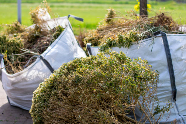 Best Trash Removal Near Me  in Centrevle, IL